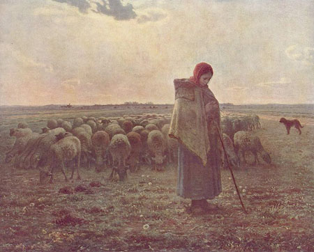 Rebaño de ovejas con su pastor 