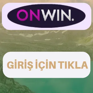 Onwin giriş